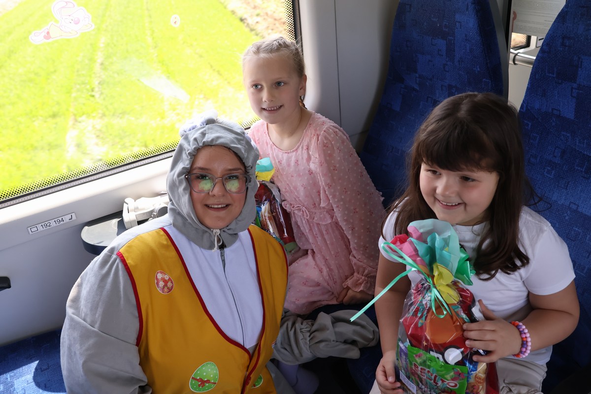 zeko express zeko express