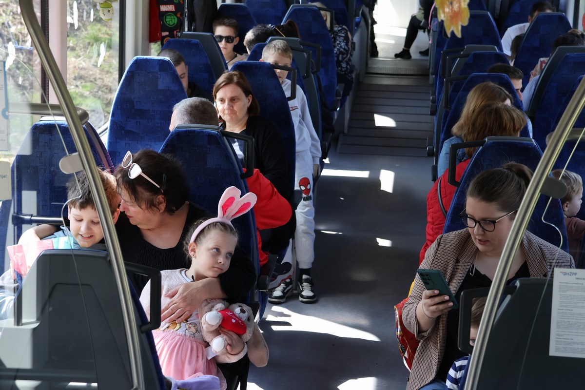 zeko express zeko express