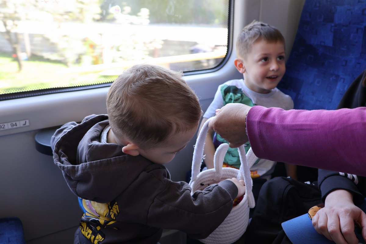 zeko express zeko express