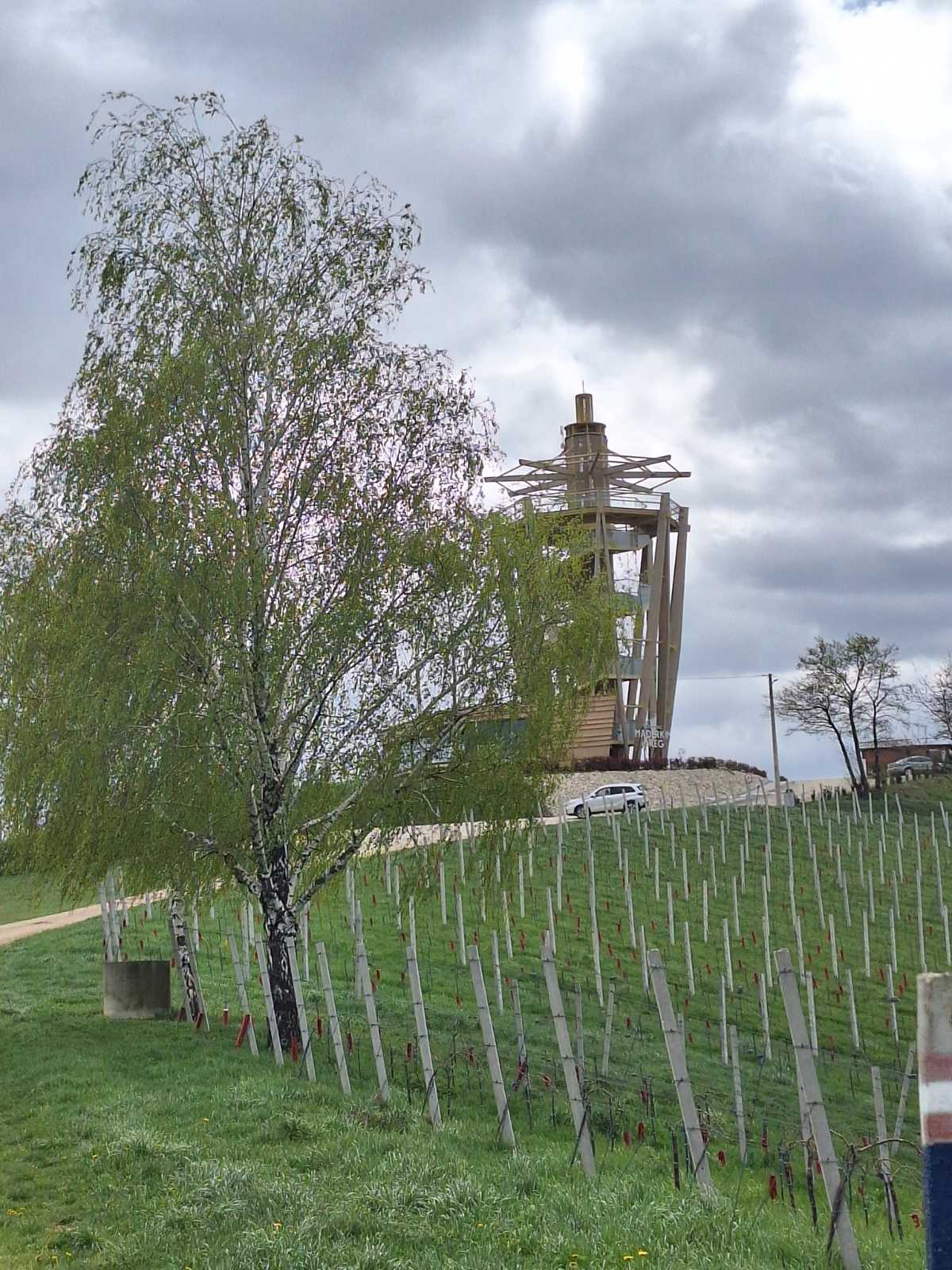 488910193_647790744809725_5755884636555585642_n 488910193_647790744809725_5755884636555585642_n