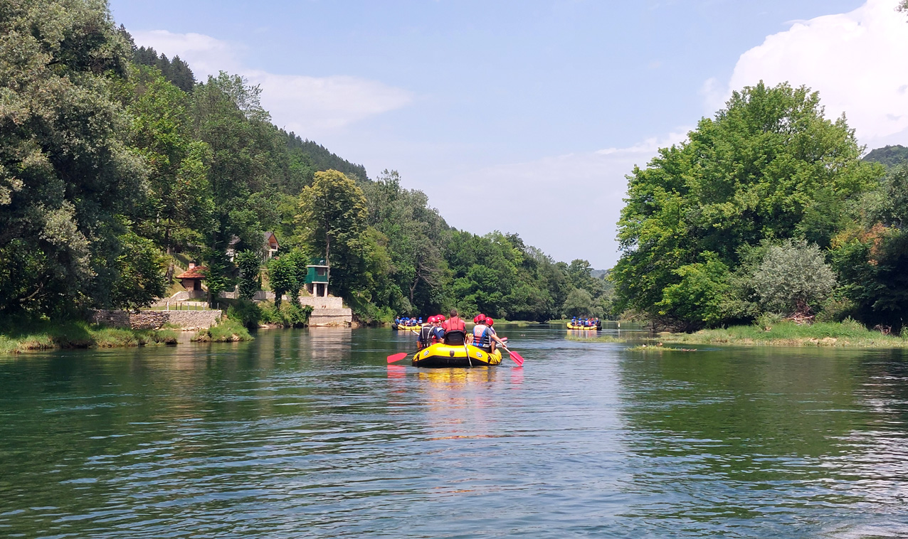 Raftingom po Uni, Labudovi se pripremali za Lov na labuđe pero