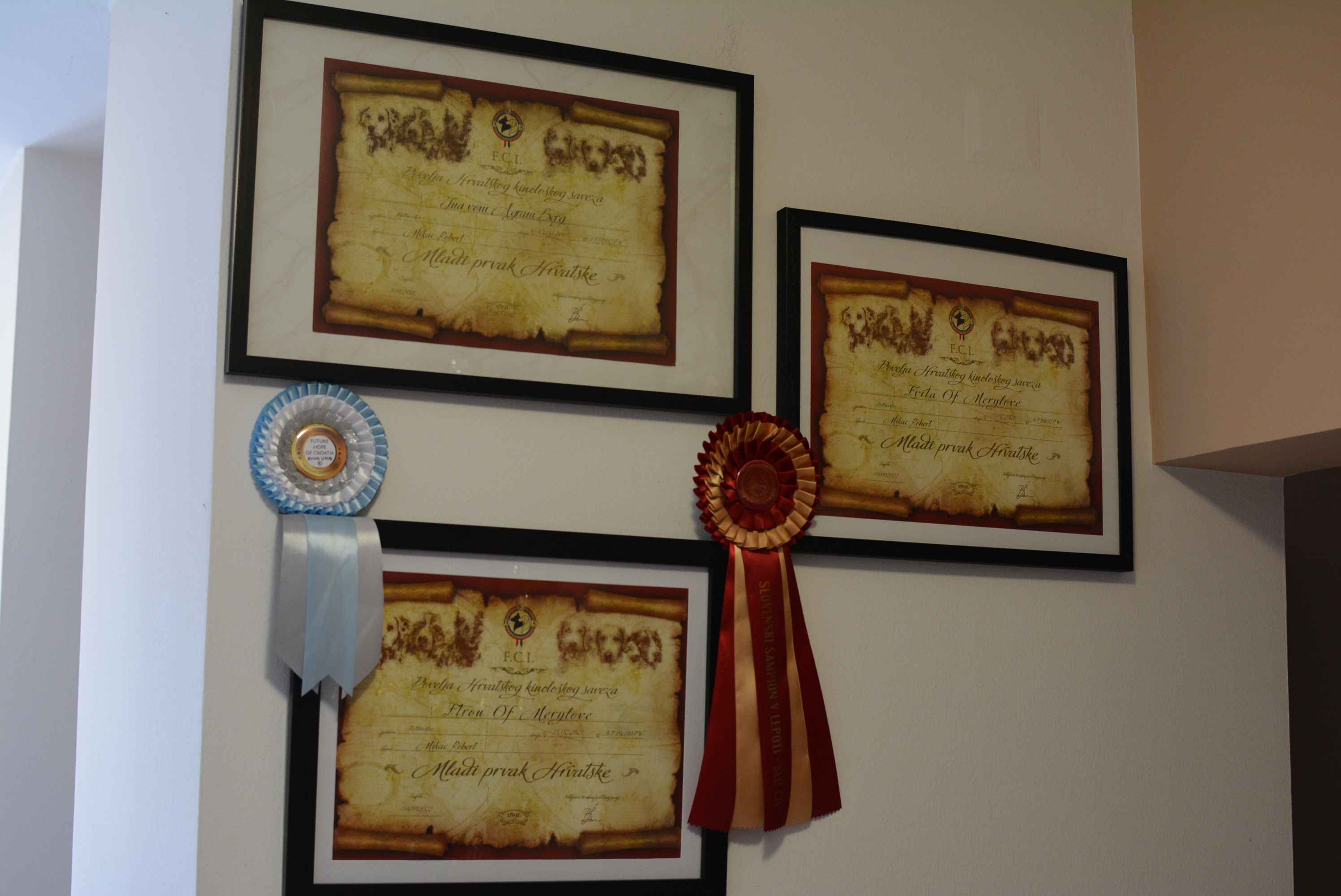 OBITELJ MIKAC IZ MIHOVLJANA Od 2014. godine imaju profinjenu uzgajivačnicu Rottweilera – ‘psi su naša najveća ljubav’ OBITELJ MIKAC IZ MIHOVLJANA Od 2014. godine imaju profinjenu uzgajivačnicu Rottweilera – ‘psi su naša najveća ljubav’