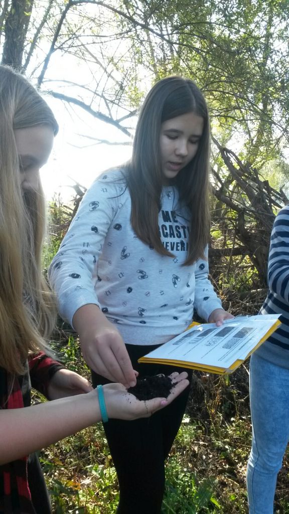 20171019134624resized671056