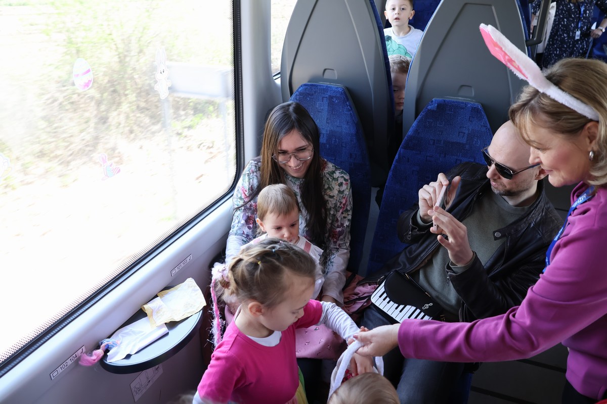 zeko express zeko express