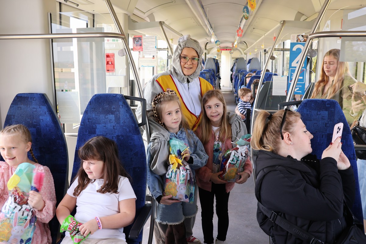 zeko express zeko express