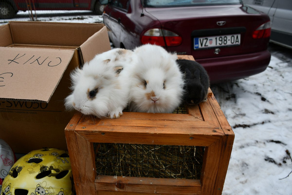 Sajam srijedom, čakovečki sajam, 24.1.