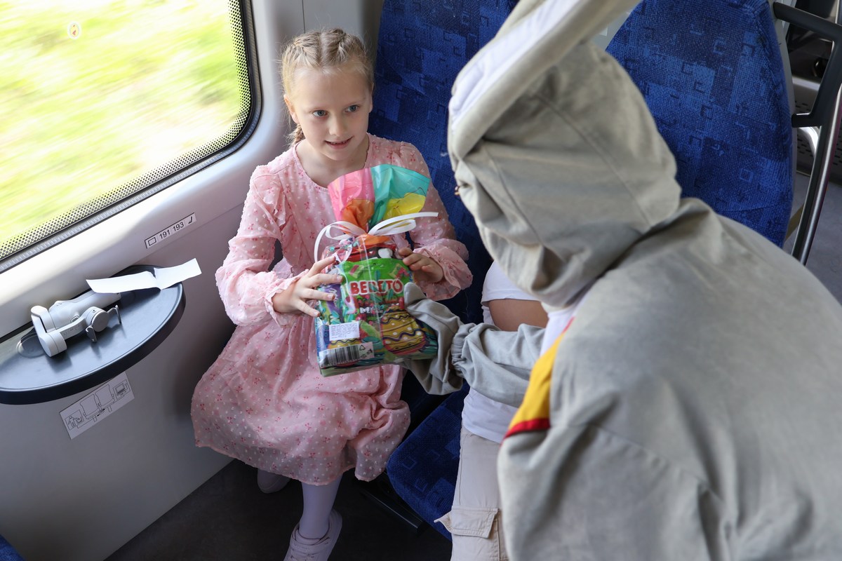 zeko express zeko express