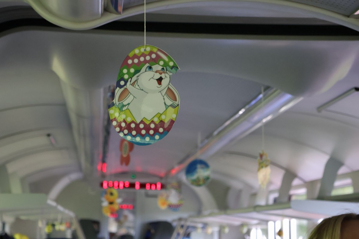 zeko express zeko express