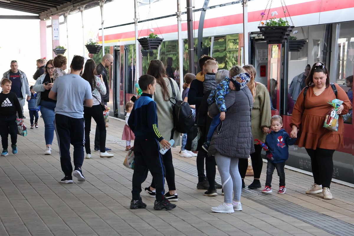 zeko express zeko express