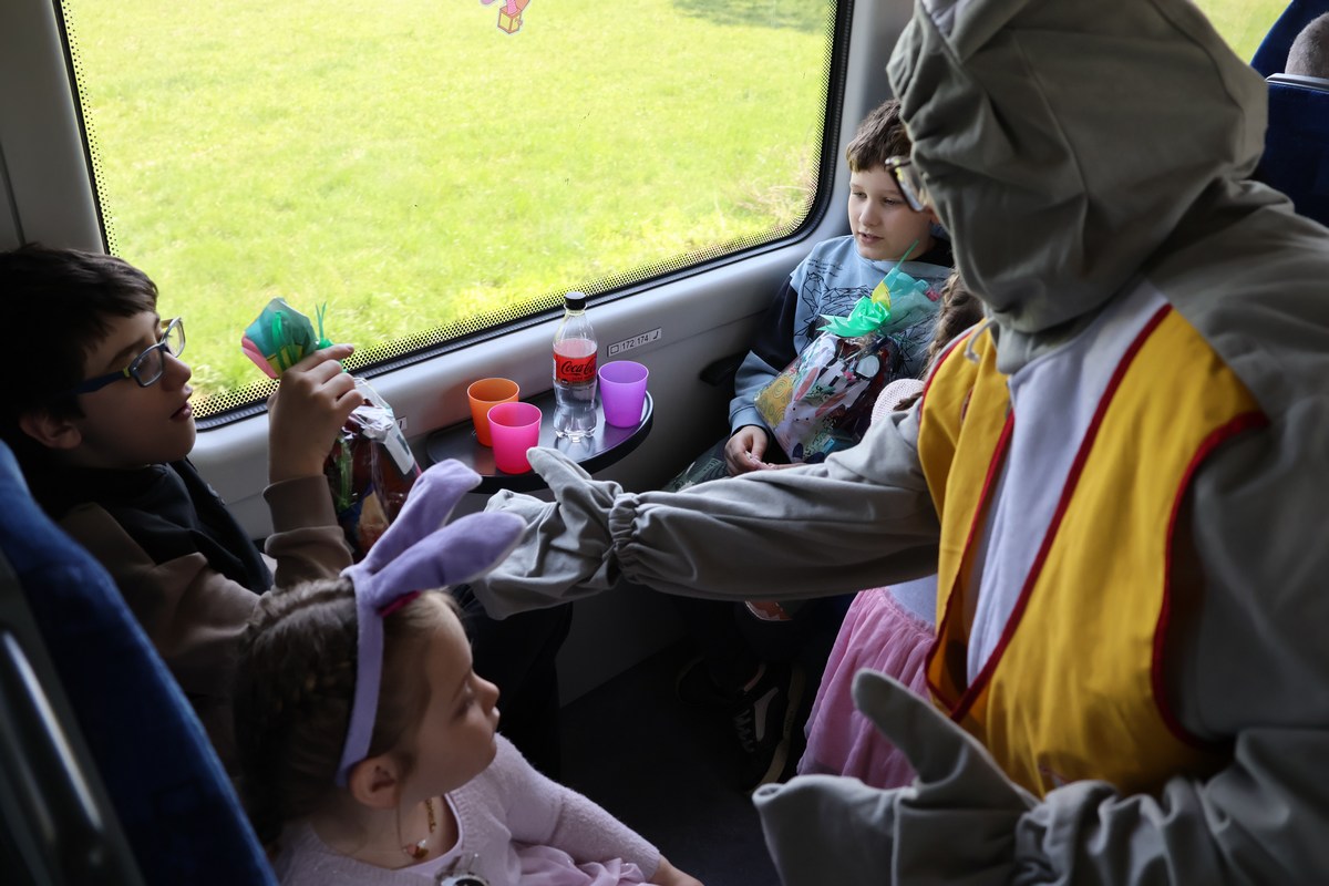 zeko express zeko express