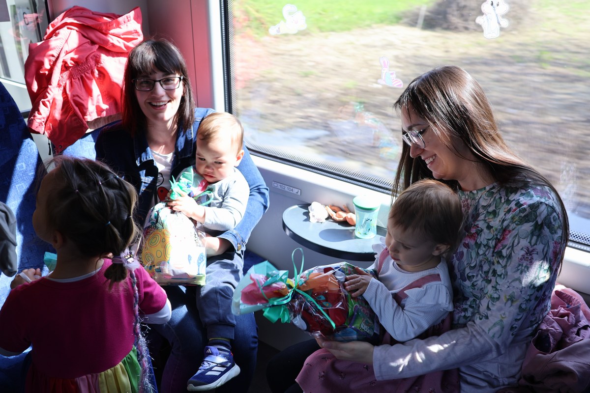 zeko express zeko express