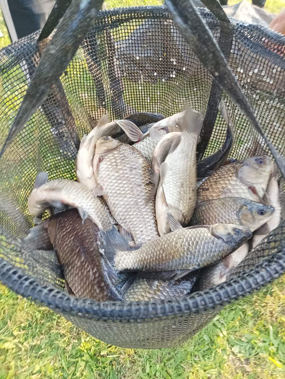 RIBIČKE FOTOGRAFIJE U Međimurju održana ribolovna natjecanja