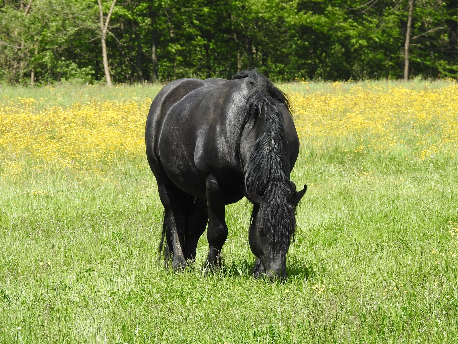 BICIKLIZAM I UTRKA DIVLJIH SVINJA Dva akcijska vikenda u Malom Mihaljevcu!