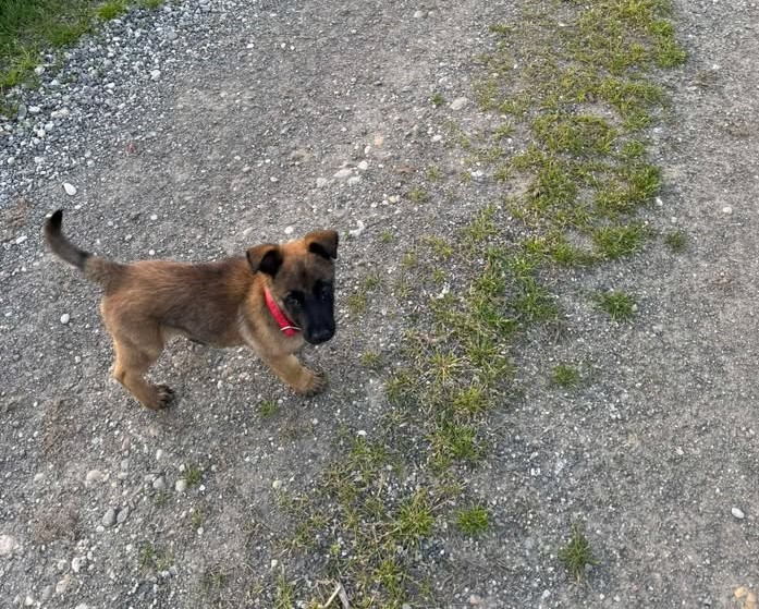 491259221_983013870252862_9204182669529244195_n 22