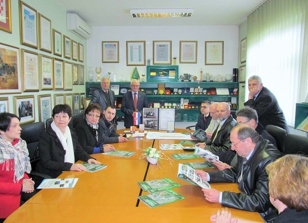 284811670img7599optimized392875