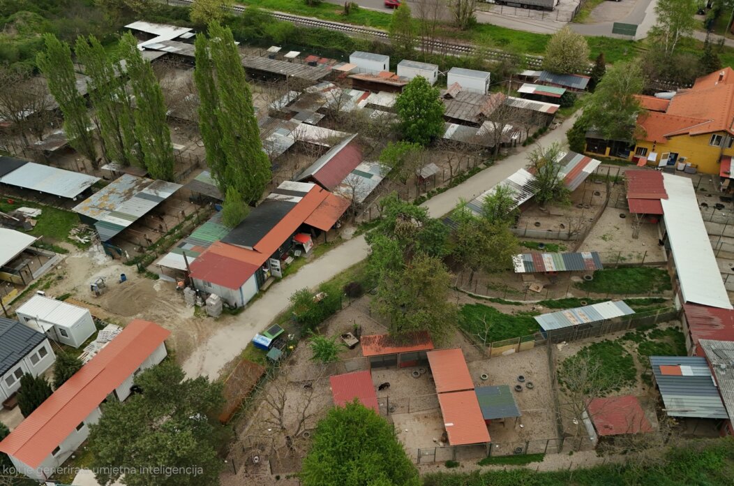 Azil prijatelji iz zraka Azil prijatelji iz zraka