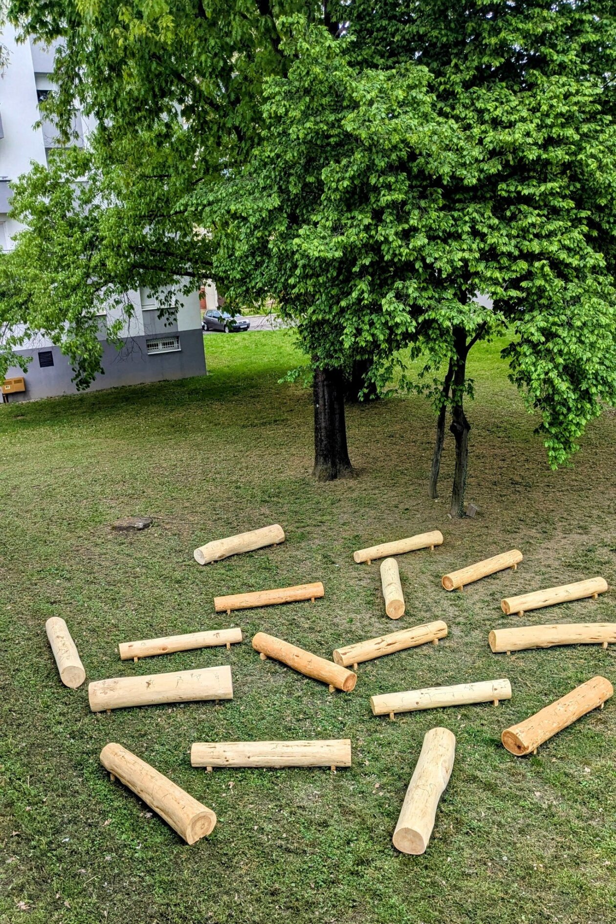 Gimnazija, park, Ekonomska 5