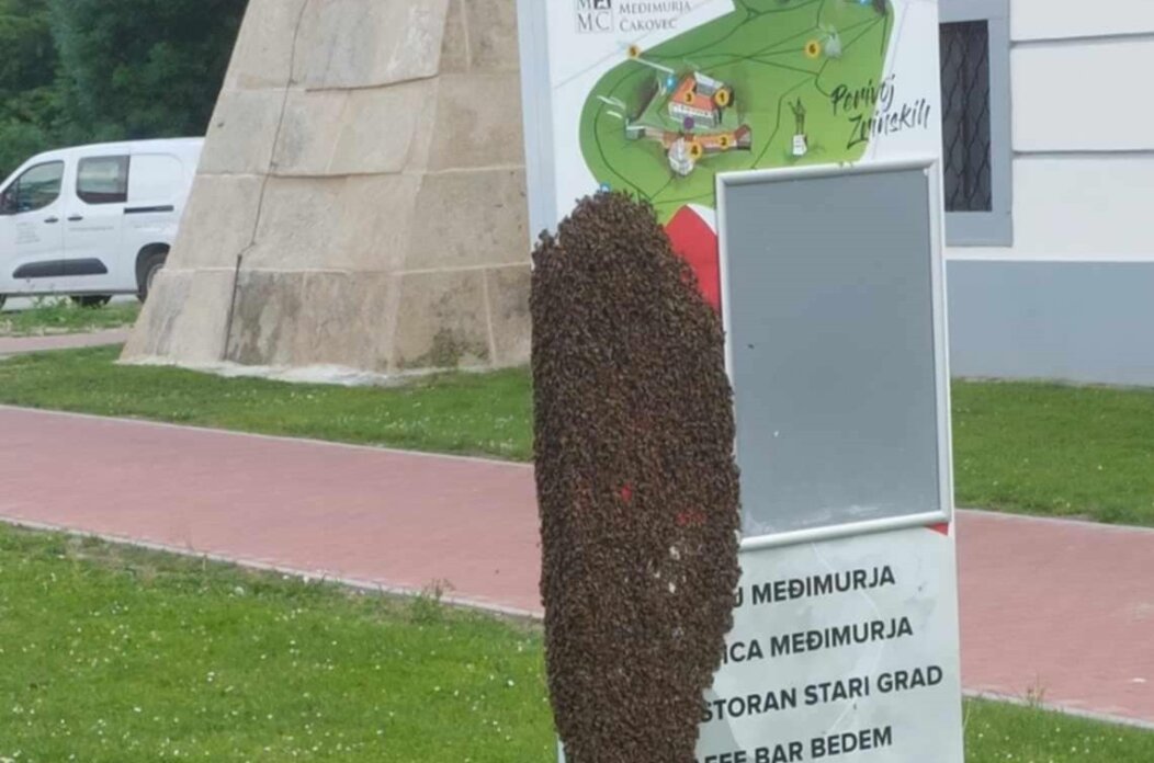 493571611_1282124880581035_1892022680135947980_n 22