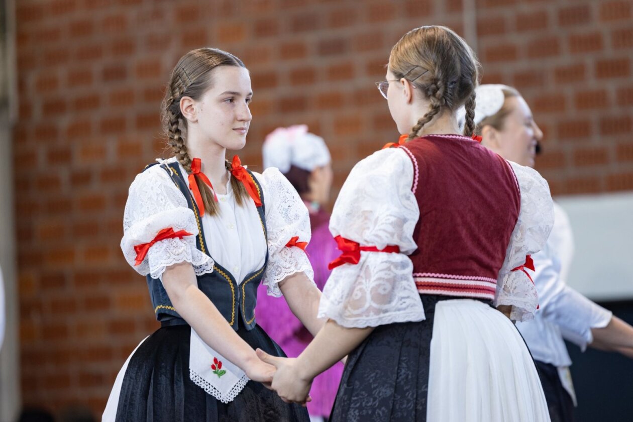 smotra folklora donja dubrava