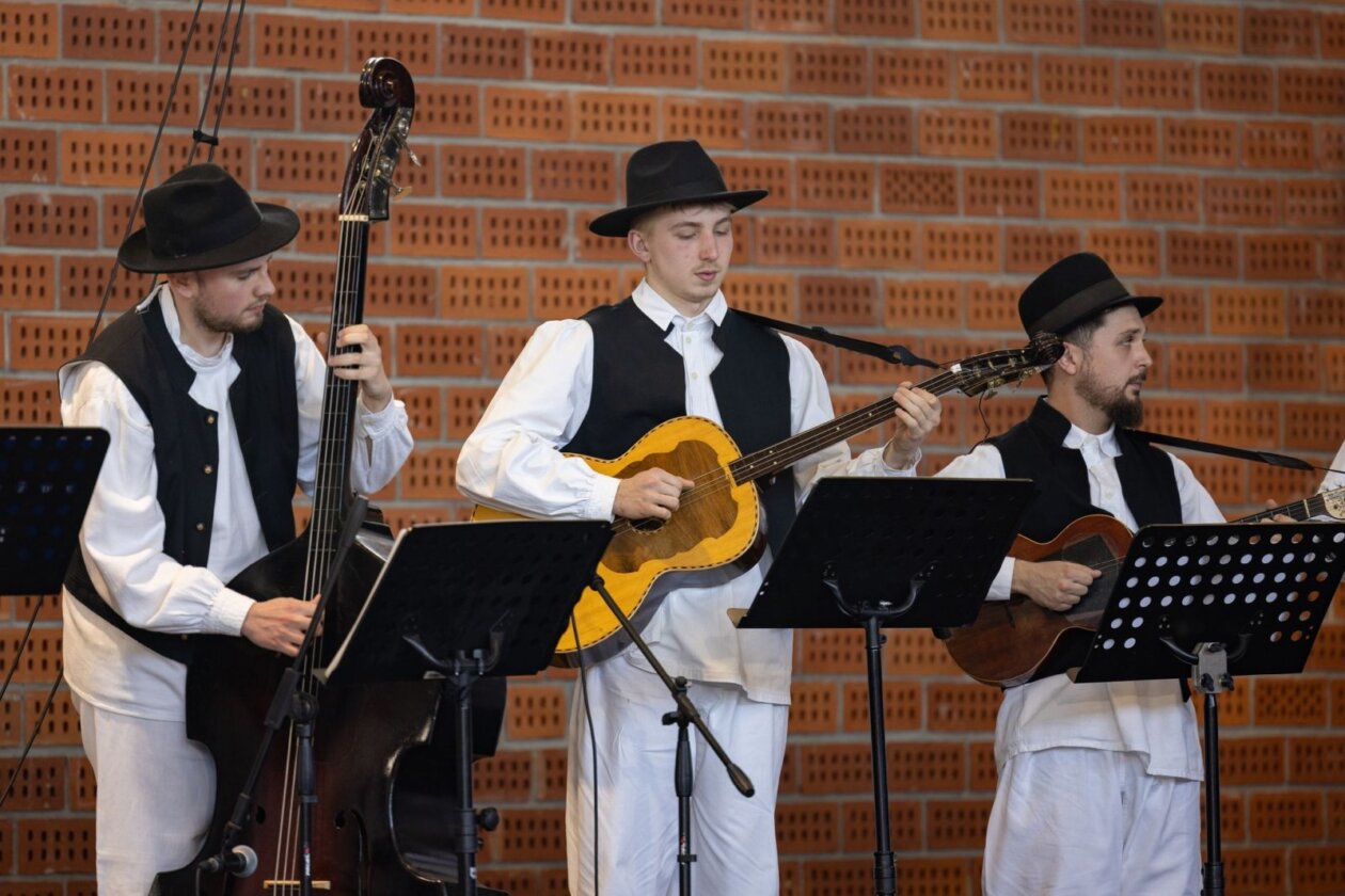 smotra folklora donja dubrava