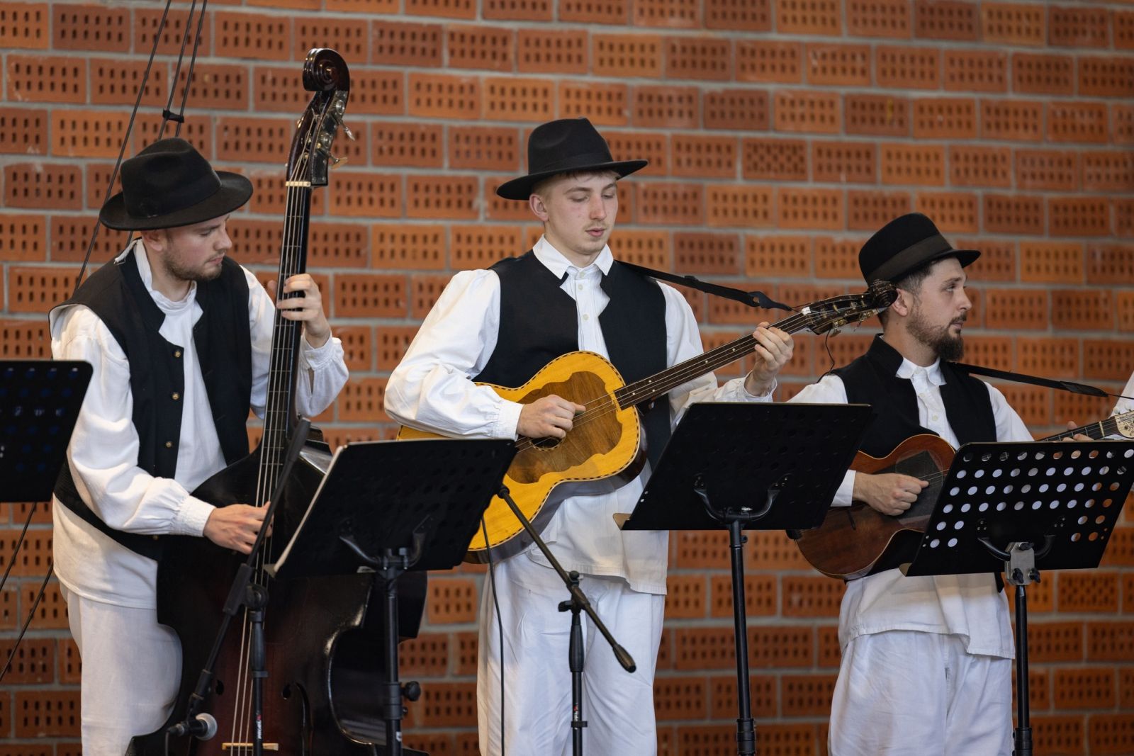 smotra folklora donja dubrava smotra folklora donja dubrava