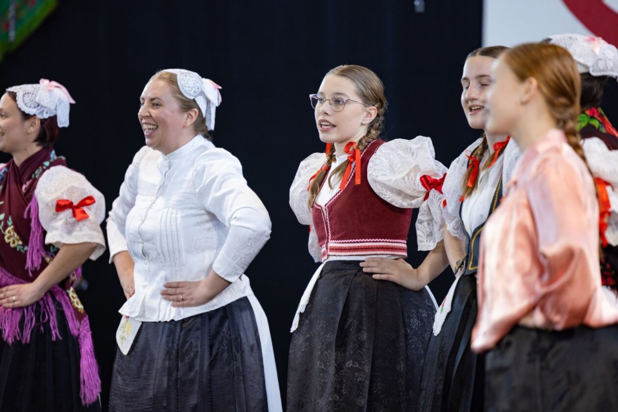 smotra folklora donja dubrava