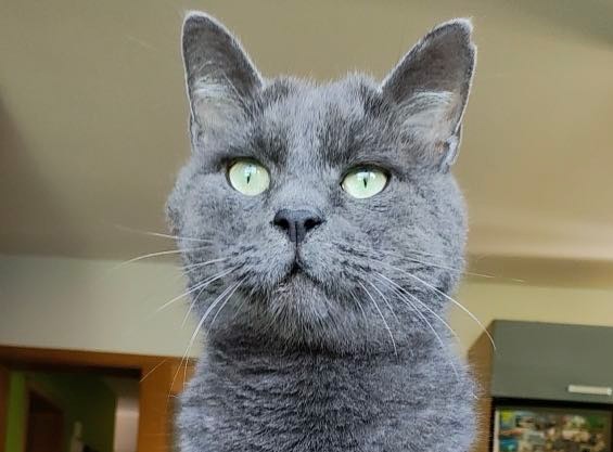 494816100_1213604886988680_5203507305261653742_n 22