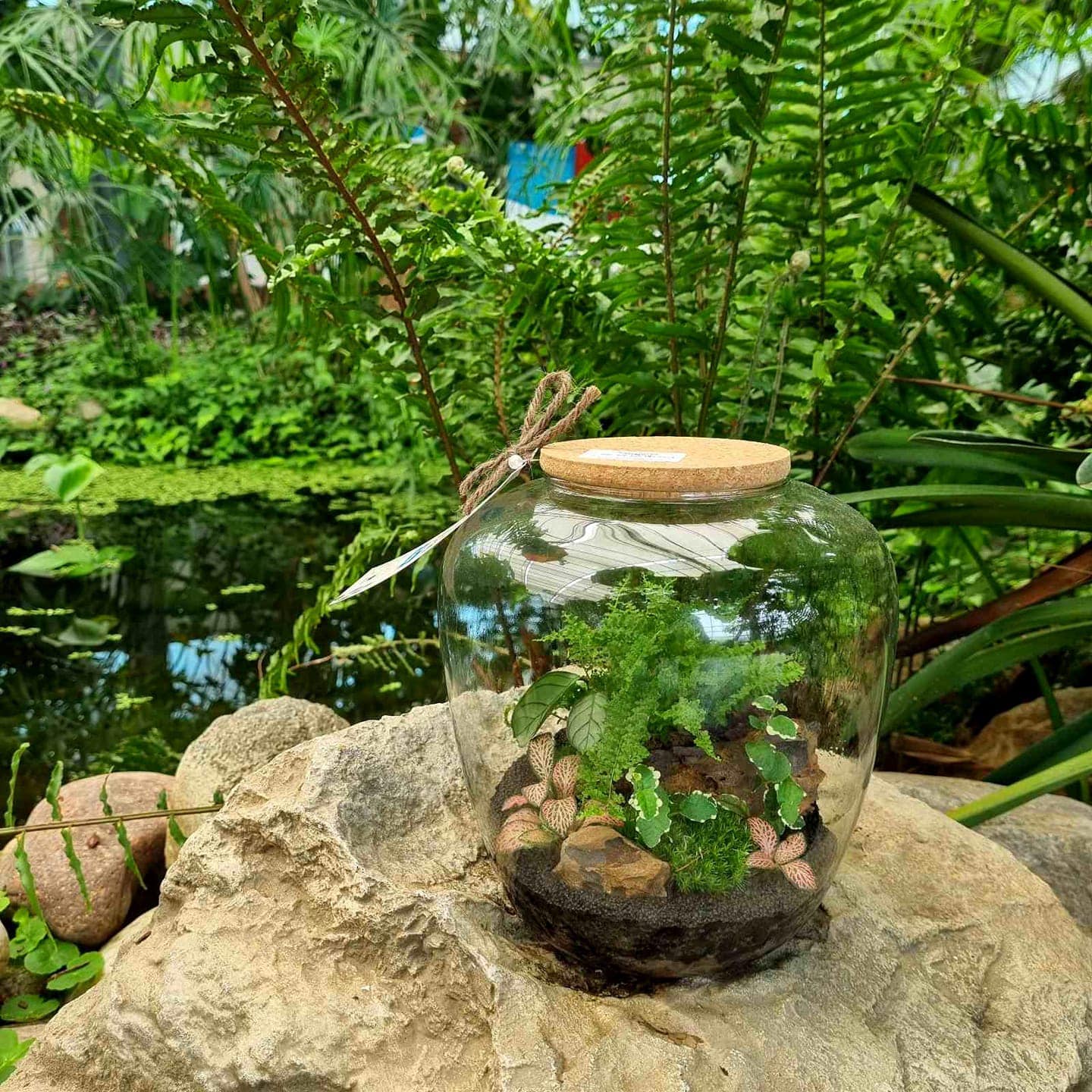 Image 5818455 (auto)