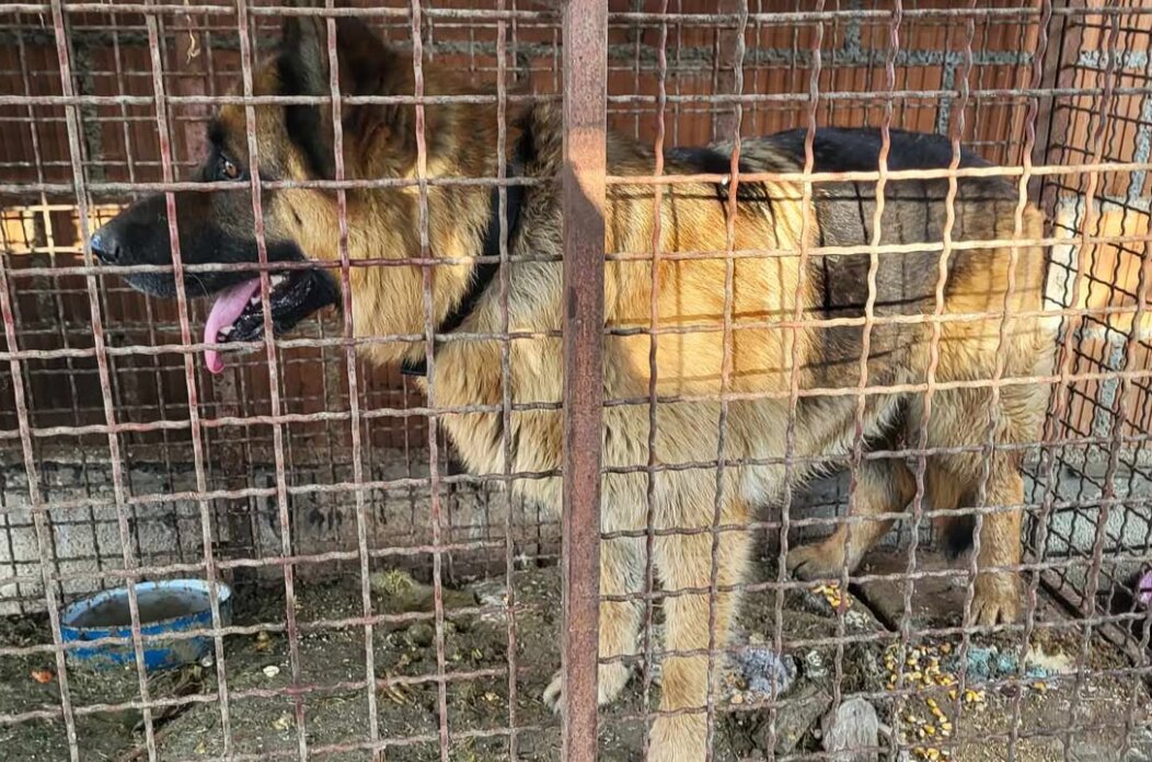 496511265_661965326651665_5013745866625232309_n