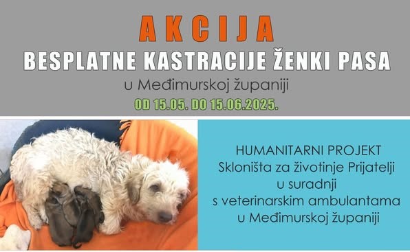 497480830_991371503168100_5622743428759168018_n 22