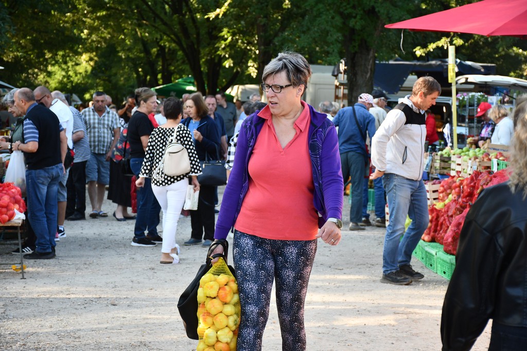 Čakovečki sajam (srijeda, 6.9.2023.)