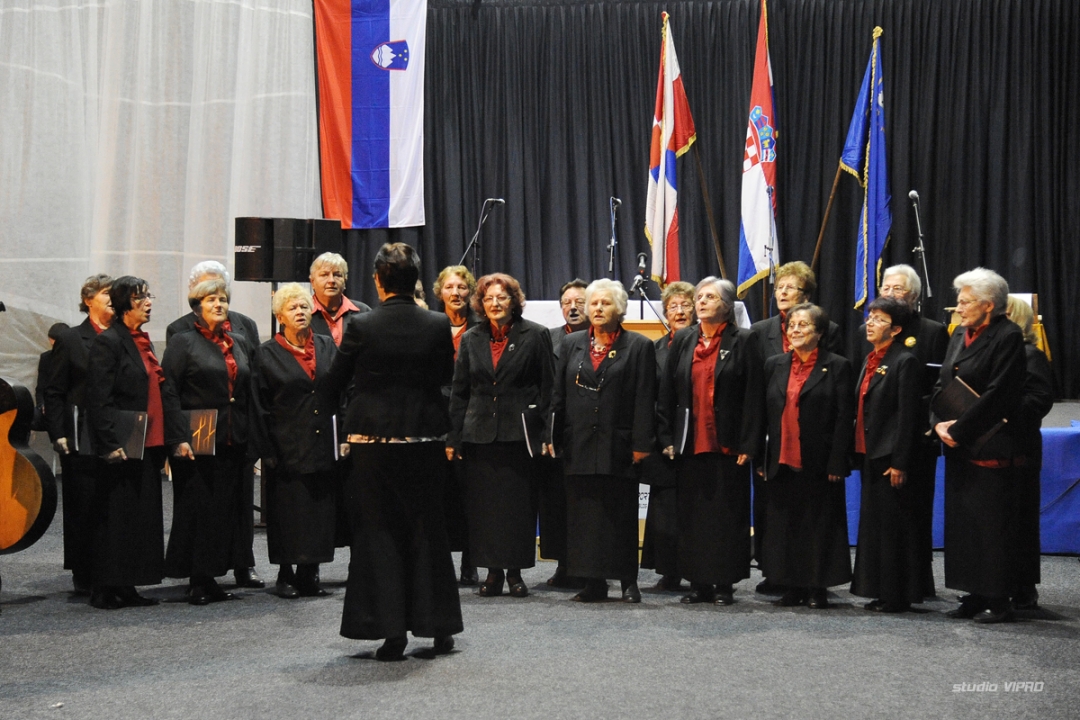 277711321dsc7481147960