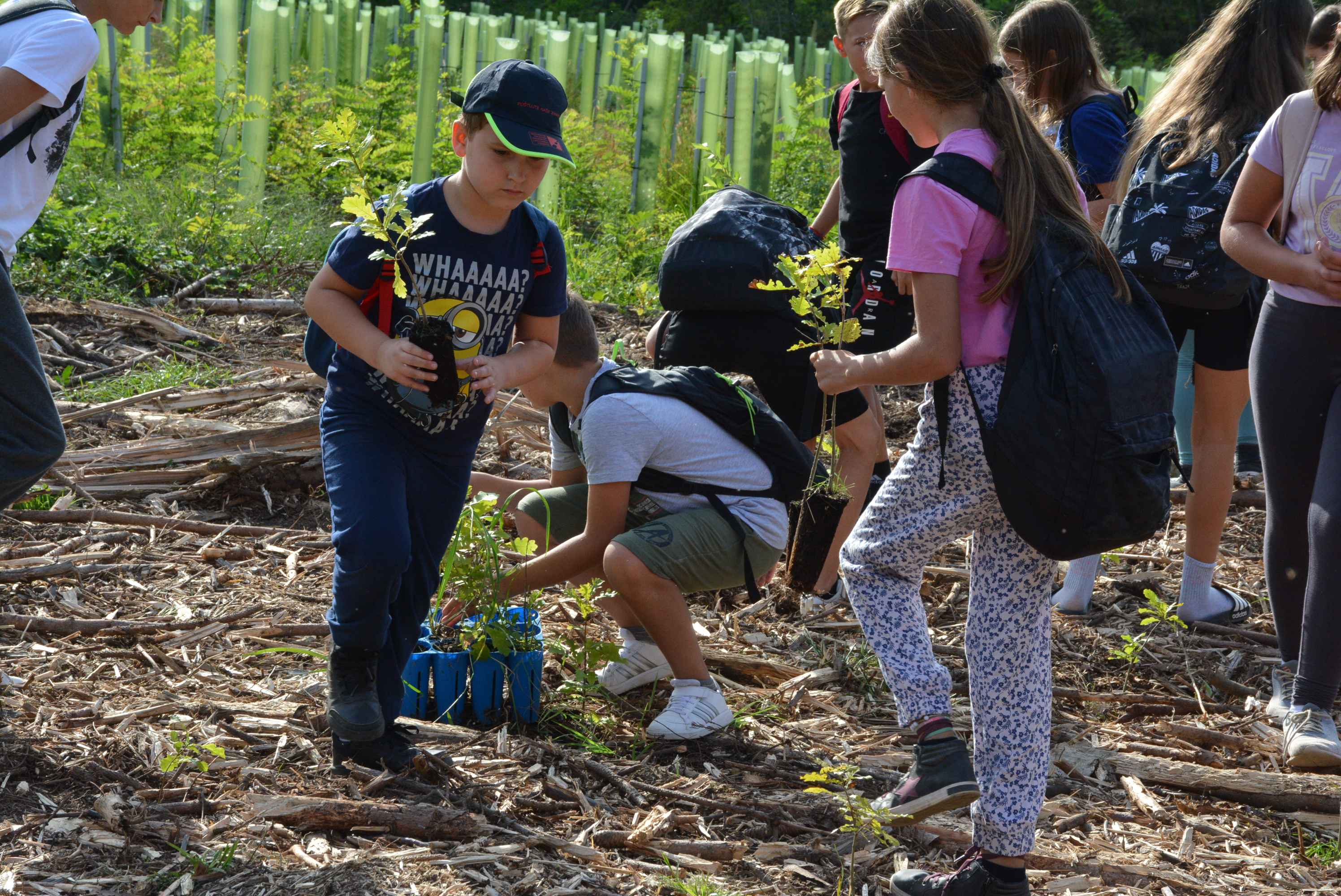 KNEZOVEC Održana velika akcija pošumljavanja u ogranizaciji tvrtke Sobočan