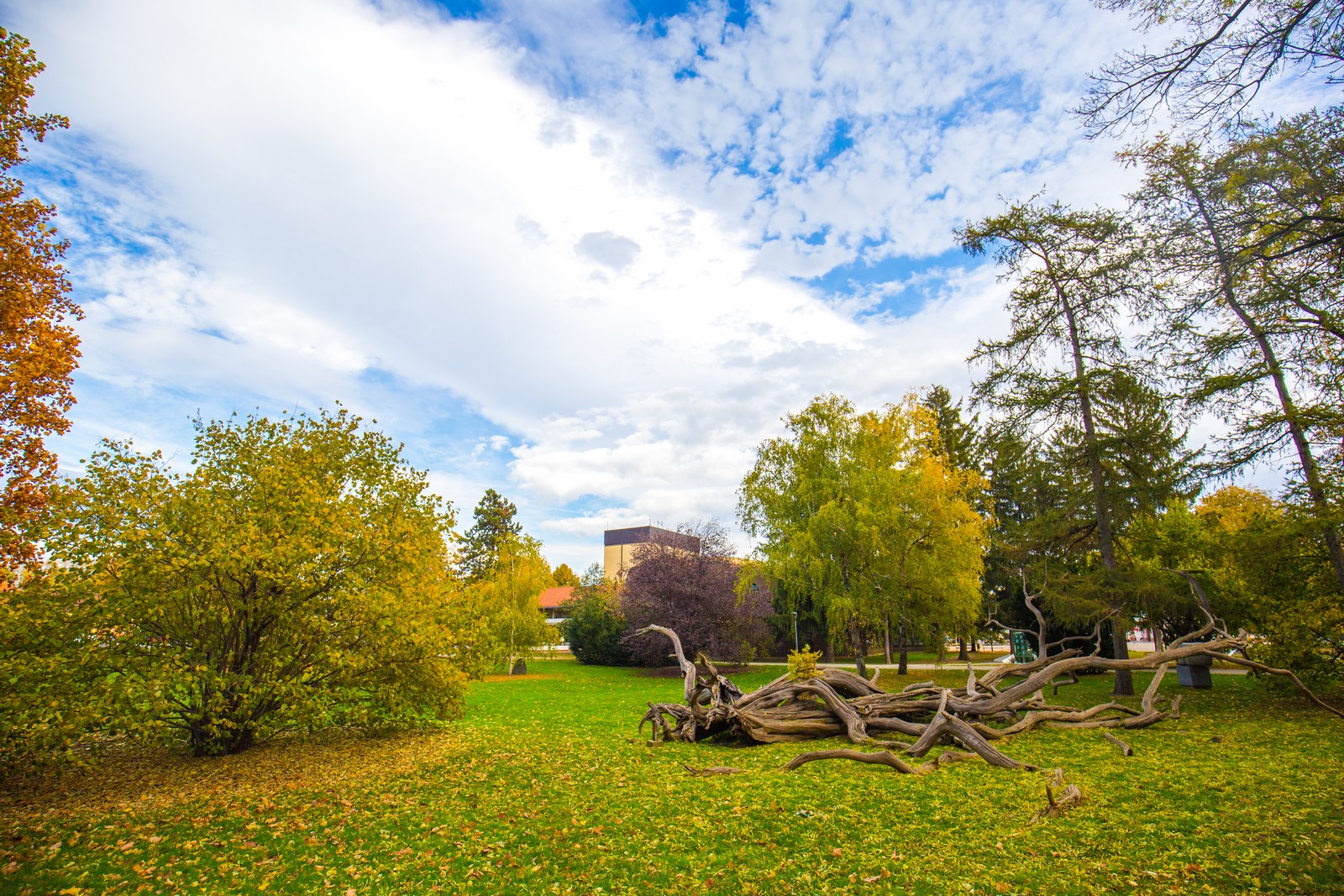 Čarobna jesen: Naša Miroslava Novak prošetala je čakovečkim parkom i snimila šarenilo jesenskih boja. Predivno, zar ne? (y) :-)