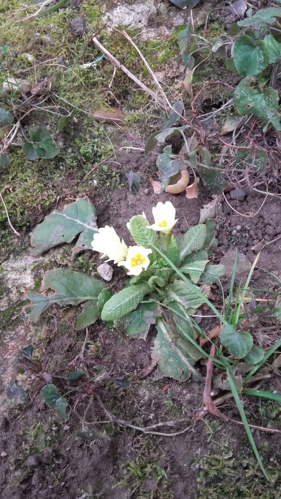 20160201141237380994