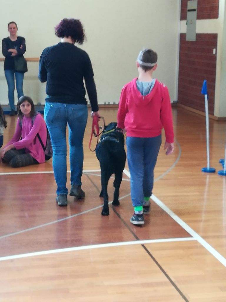 img20171018103457623271