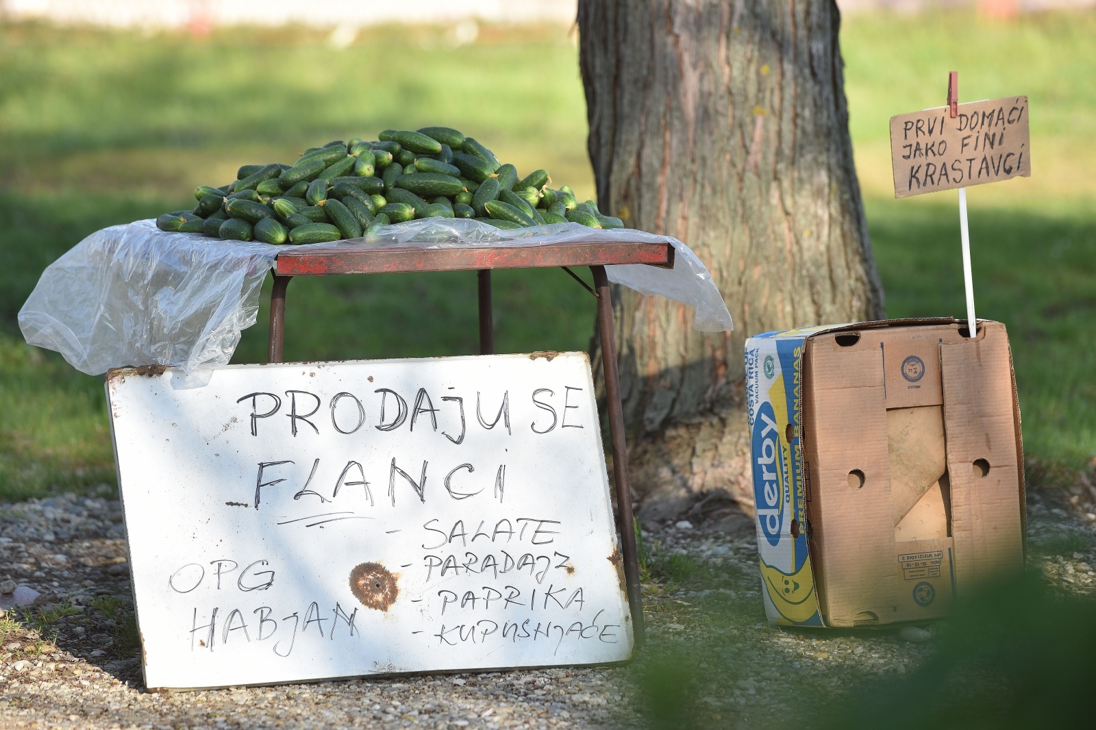 Popularni sajam srijedom: Ponovno otvoreno Sajmište u Čakovcu