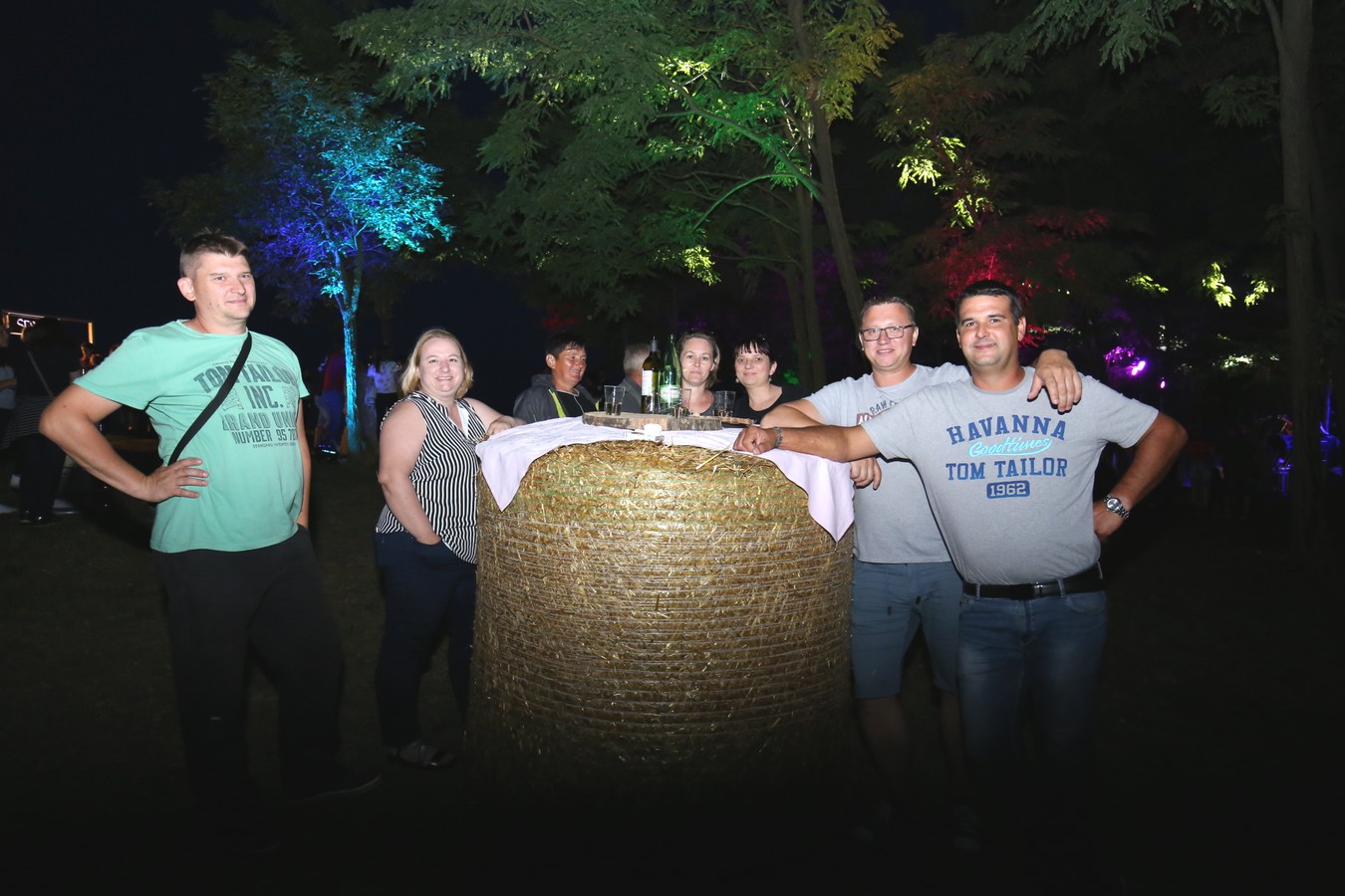 Odličan koncert Vatre u predivnom ambijentu Mađerkinog brega