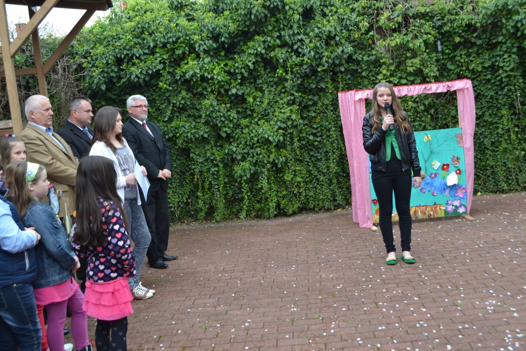 dsc0028782038