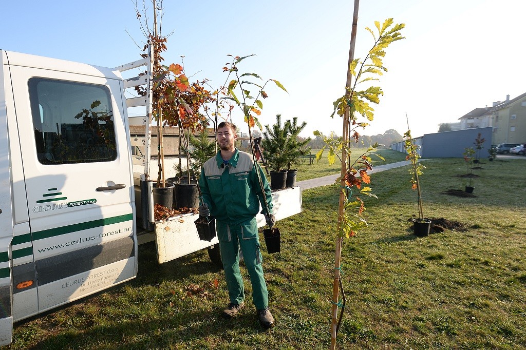 FOTO Velik broj građana subotnje prijepodne iskoristio za sadnju stabala u Čakovcu