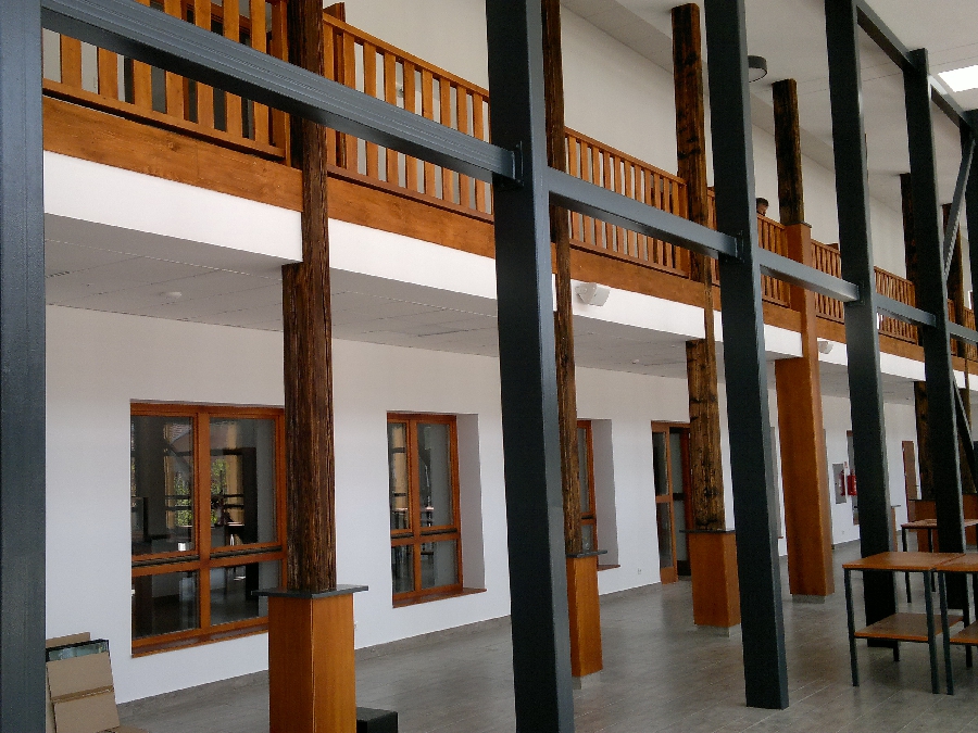 Image 5592189 (auto)