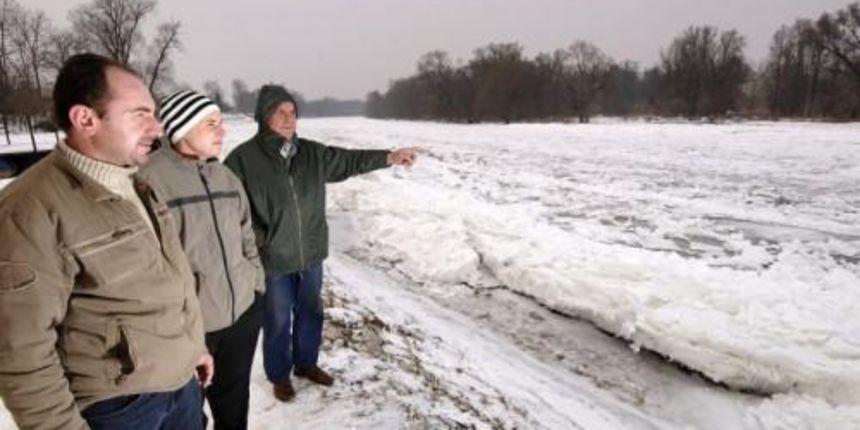 murarogulja murarogulja