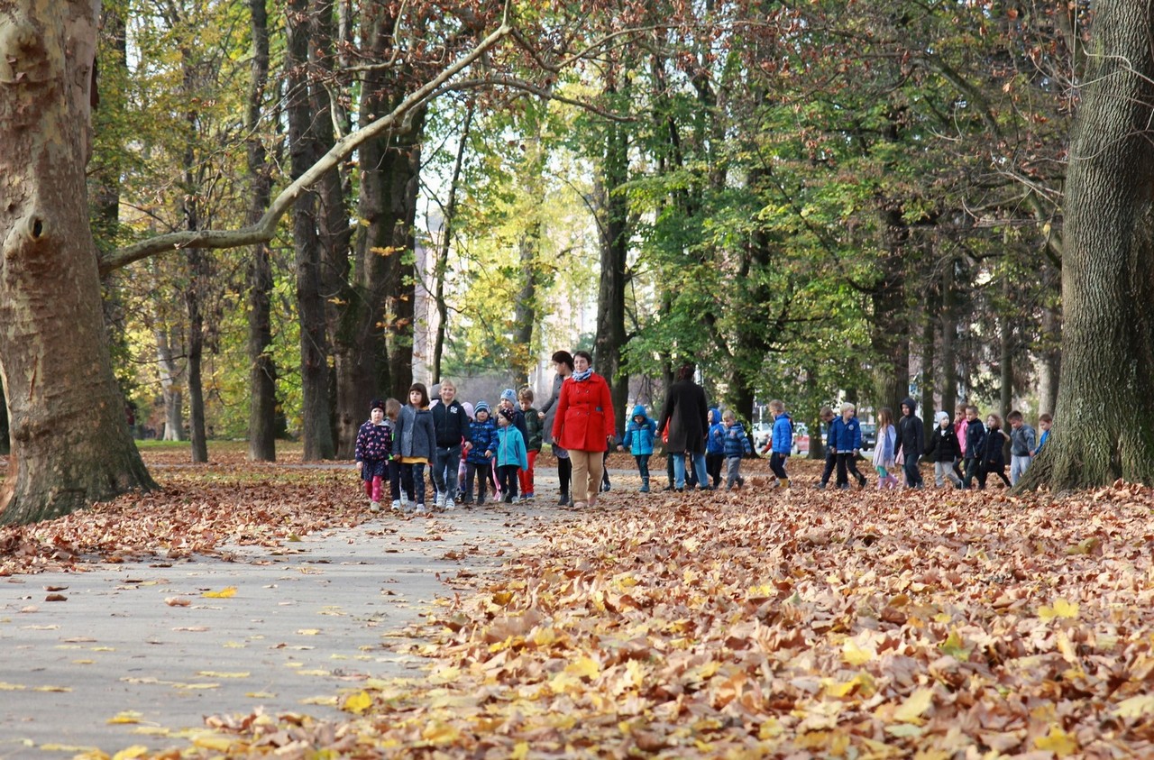 Volonteri u parku: U Čakovcu obilježen Svjetski dan šećerne bolesti