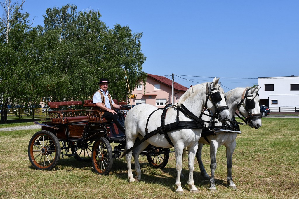 VIDEO I FOTO Međunarodno konjičko druženje okupilo brojne uzgajivače konja iz SZ Hrvatske te Slovenije i Austrije