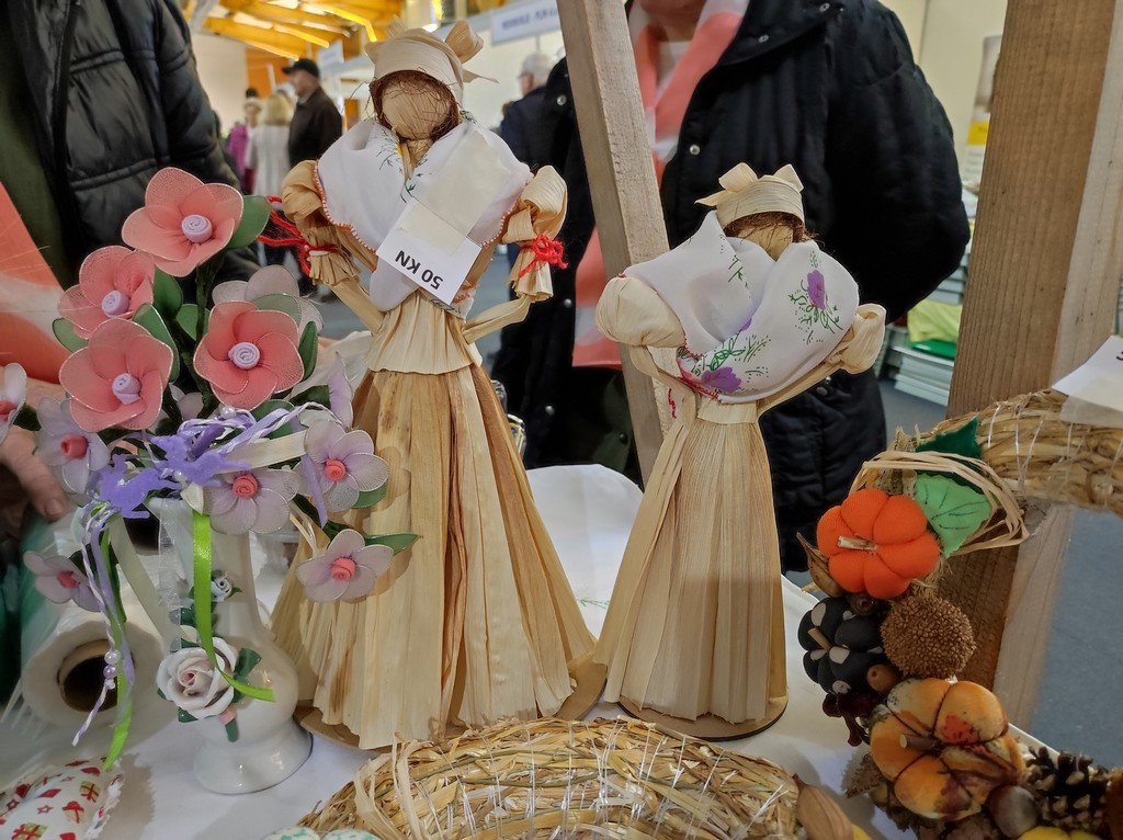 DANIJELA CIRKVENČIĆ Komušina mora biti suha i zrela