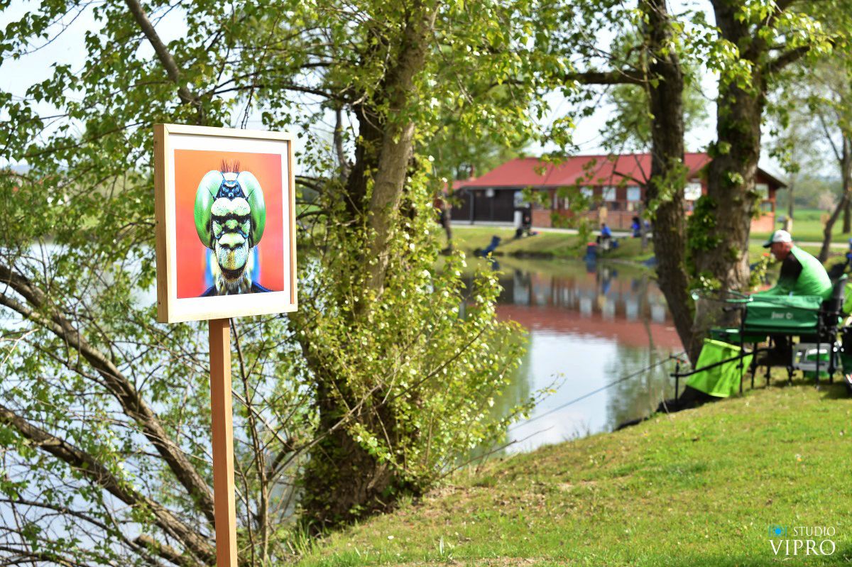 Prvi maj u Goričanu