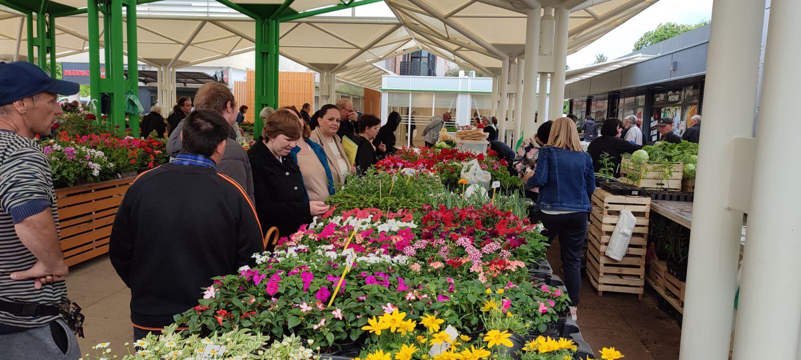 Udruga osoba s intelektualnim teškoćama Međimurske županije
