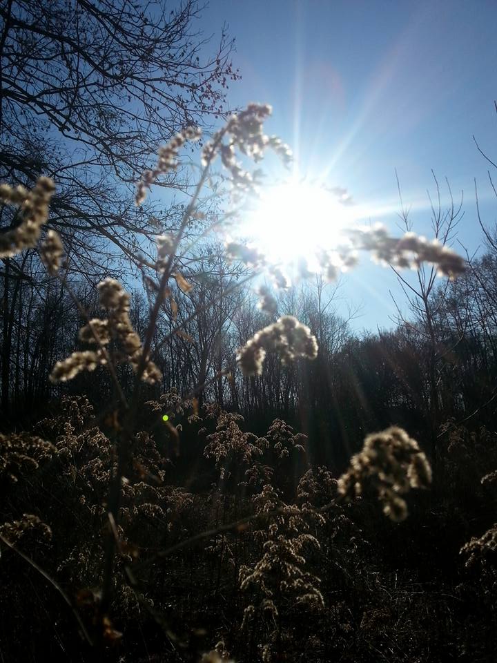 1255297954520277565823133307742