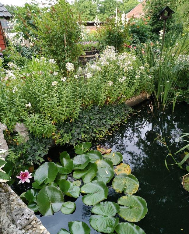 Biljno carstvo Vanje i Alena u Šenkovcu: Njihov vrt ‘Četiri godišnja doba’ mami poglede