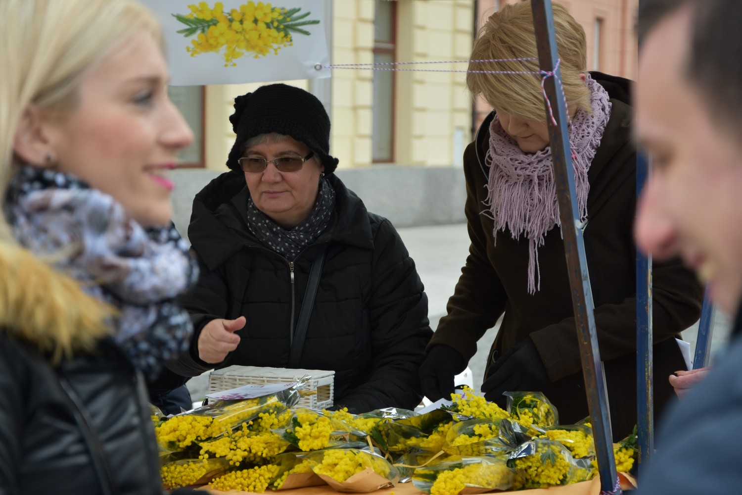 Dan mimoza u Čakovcu